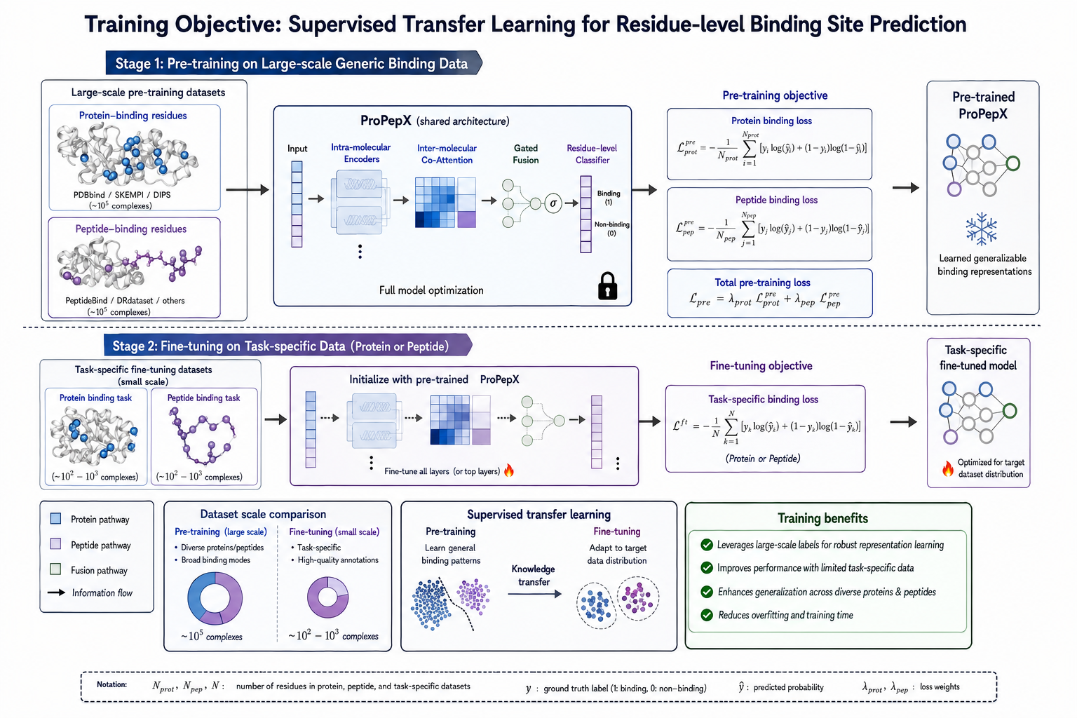 Conceptual interaction-aware transfer-learning workflow for ProPepX